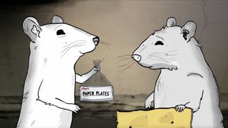 Episode 1 Rats