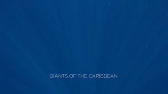 Episode 2 Giants of the Caribbean