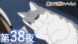 Episode 38 Night 38: The Cat Was Sleeping Beside Me Before I Knew It