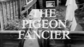 Episode 9 The Pigeon Fancier