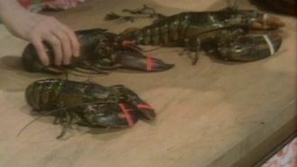 Episode 16 Lobster Show