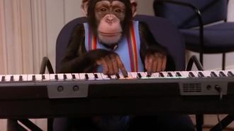 Episode 12 Monkey Business