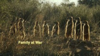 Episode 13 A Family at War