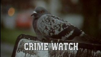 Episode 5 Crime Watch
