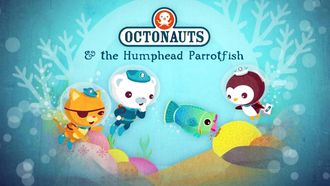 Episode 21 The Humphead Parrotfish