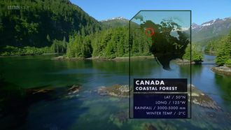 Episode 7 Canada's Coastal Forests