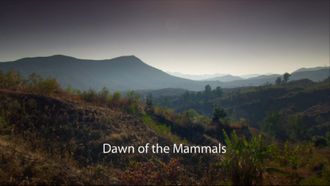 Episode 2 Dawn of the Mammals