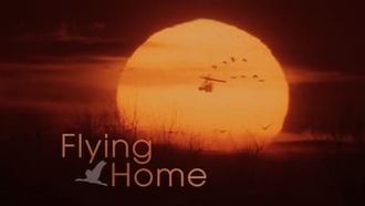 Episode 13 Flying Home