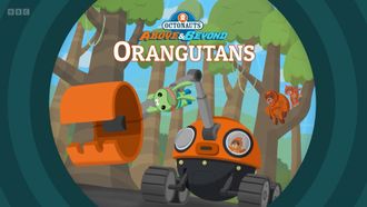 Episode 10 Orangutans