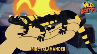 Episode 5 Fire Salamander