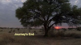 Episode 8 Journey's End