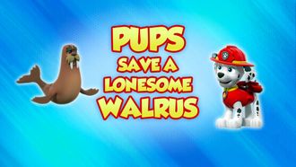 Episode 40 Pups Save a Lonesome Walrus