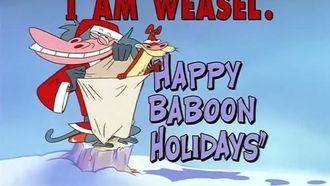 Episode 11 Happy Baboon Holidays