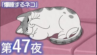 Episode 47 Night 47: Sound-Asleep Cat