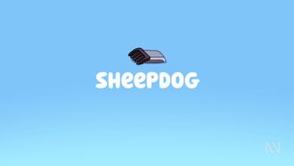 Episode 12 Sheep Dog