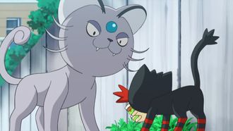 Episode 7 That's Why Litten Is a Scamp!