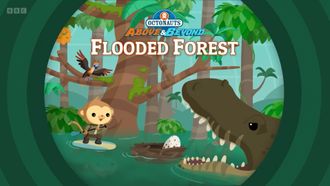 Episode 4 Flooded Forest