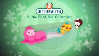 Episode 20 The Snot Sea Cucumber