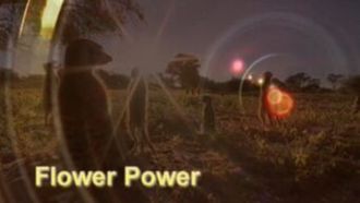 Episode 10 Flower Power