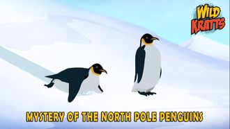 Episode 1 Mystery of the North Pole Penguin