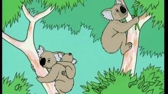Episode 12 Les Koalas