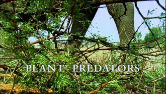 Episode 3 Plant Predators