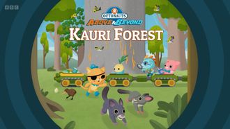Episode 21 Kauri Forest
