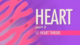 Episode 26 Heart Part 2: Heart Throbs