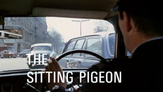 Episode 2 The Sitting Pigeon