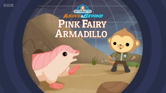 Episode 3 Pink Fairy Armadillo