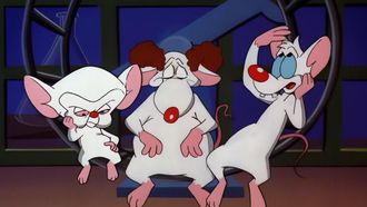 Episode 3 Pinky & the Brain... And Larry/Where the Deer and the Mouselope Play