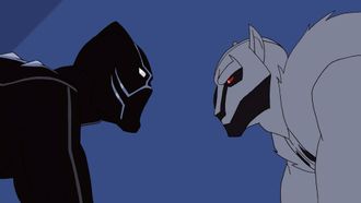 Episode 4 The Panther and the Wolf