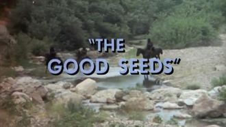 Episode 4 The Good Seeds