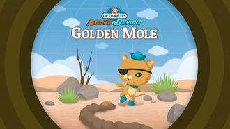 Episode 16 The Octonauts and the Golden Mole