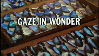 Episode 8 Gaze in Wonder