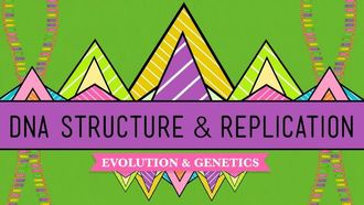 Episode 10 DNA Structure & Replication