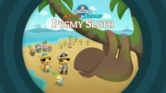 Episode 10 Pygmy Sloths