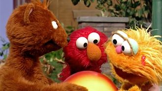 Episode 19 Elmo and Zoe Claim a Ball