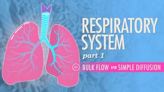 Episode 31 Respiratory System Part 1: Bulk Flow vs Simple Diffusion
