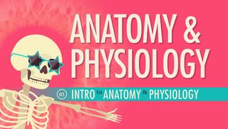 Episode 1 Intro to Anatomy & Physiology