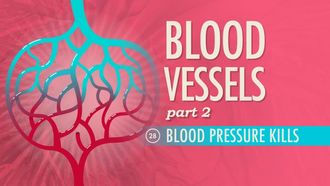 Episode 28 Blood Vessels Part 2: Blood Pressure Kills