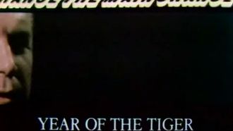 Episode 11 Year of the Tiger