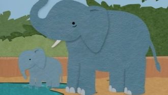 Episode 7 The Zoo / My Pet Elephant