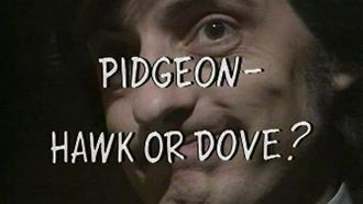 Episode 17 Pidgeon - Hawk or Dove?
