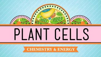 Episode 6 Plant Cells
