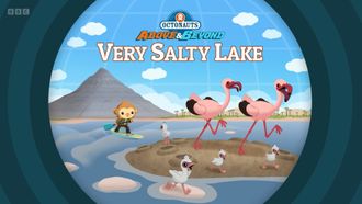 Episode 13 Very Salty Lake