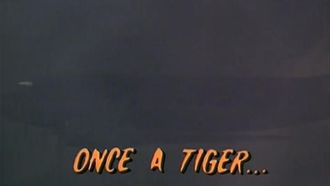 Episode 8 Once a Tiger...