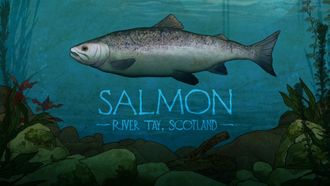 Episode 3 Salmon: River Tay, Scotland