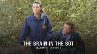 Episode 2 The Brain in the Bot