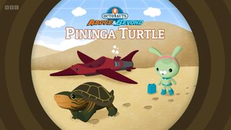 Episode 1 Pininga Turtle